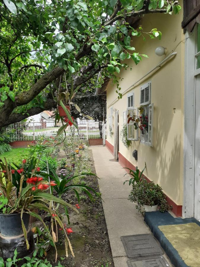 Marika Vendeghaz Apartment Abadszalok Ngoại thất bức ảnh