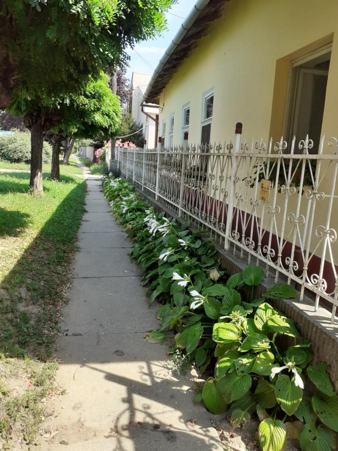 Marika Vendeghaz Apartment Abadszalok Ngoại thất bức ảnh