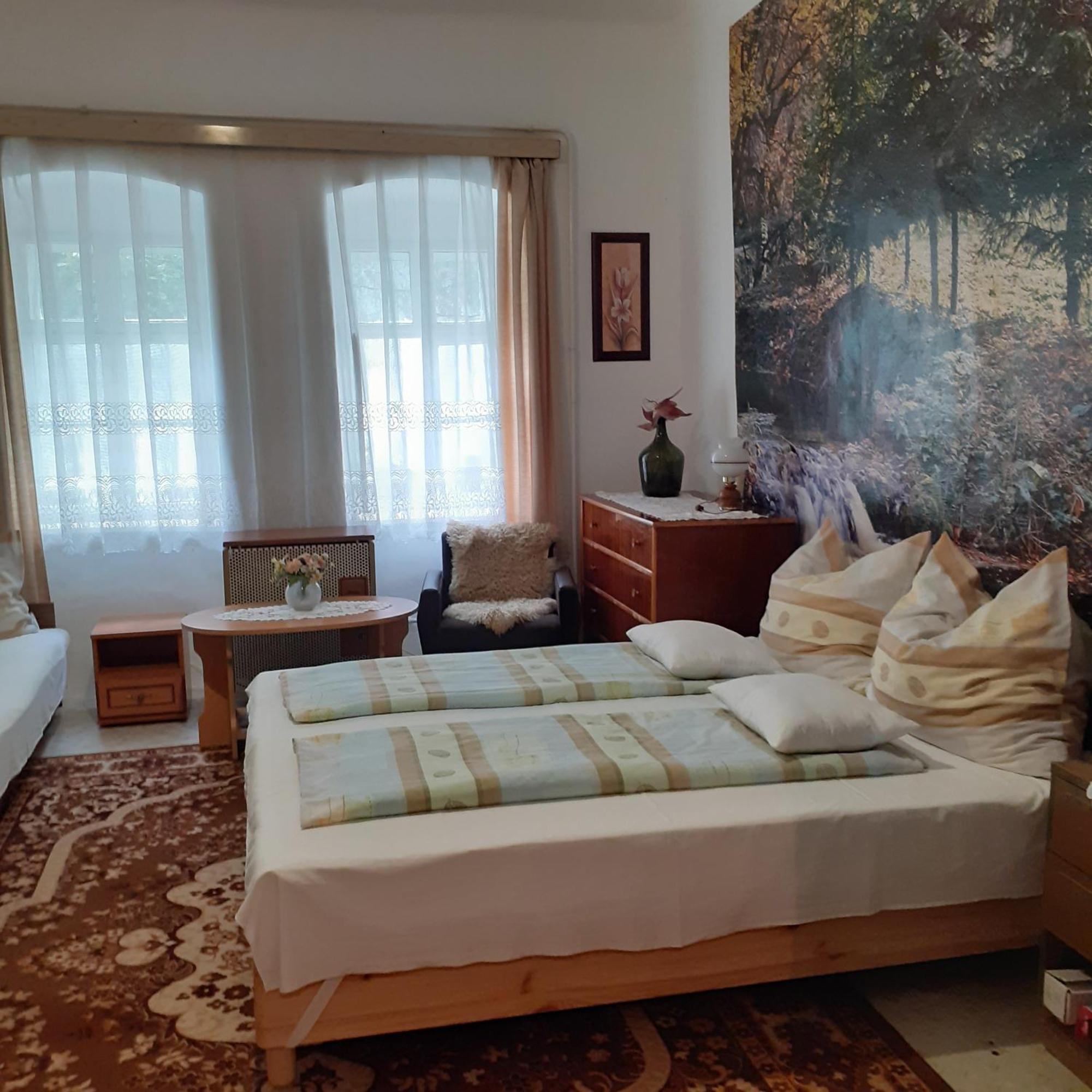 Marika Vendeghaz Apartment Abadszalok Ngoại thất bức ảnh
