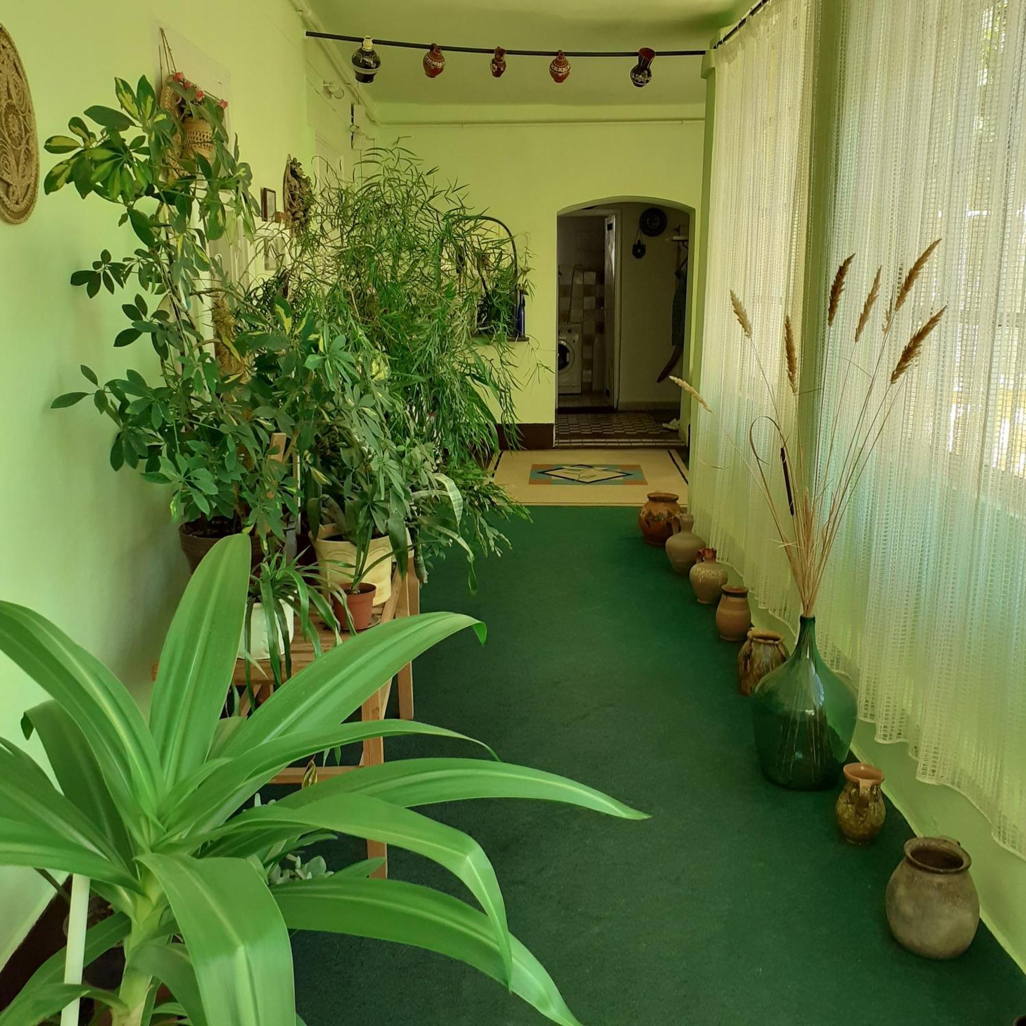Marika Vendeghaz Apartment Abadszalok Ngoại thất bức ảnh
